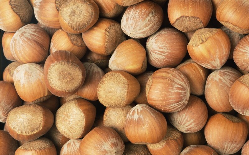 Hazelnuts in Shell — Brown, Neutral, Photograph, Shells