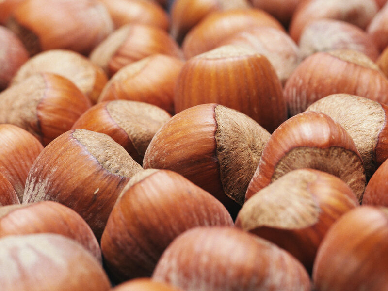 Hazelnuts in Shell — Brown