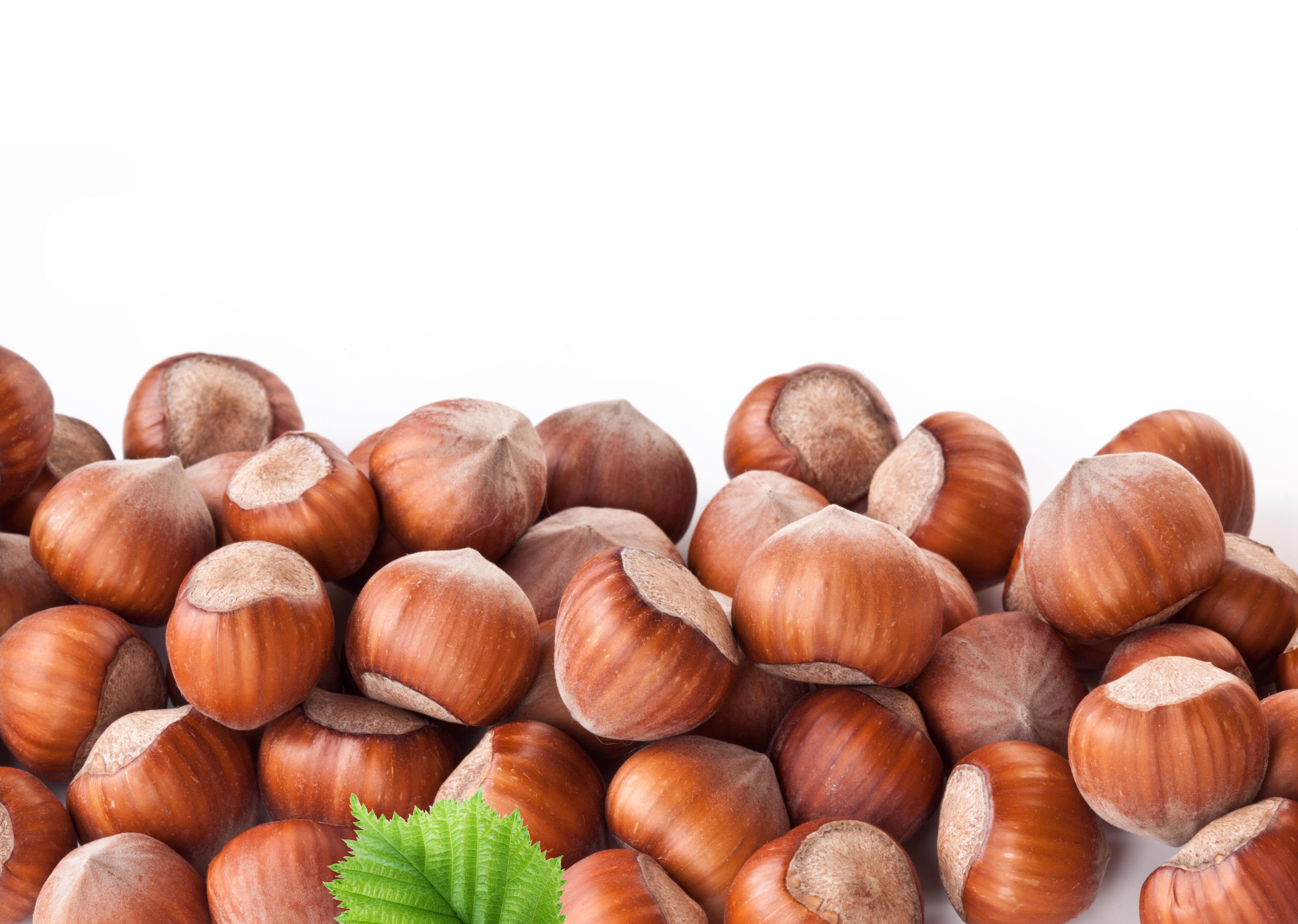 Hazelnuts with green leaf