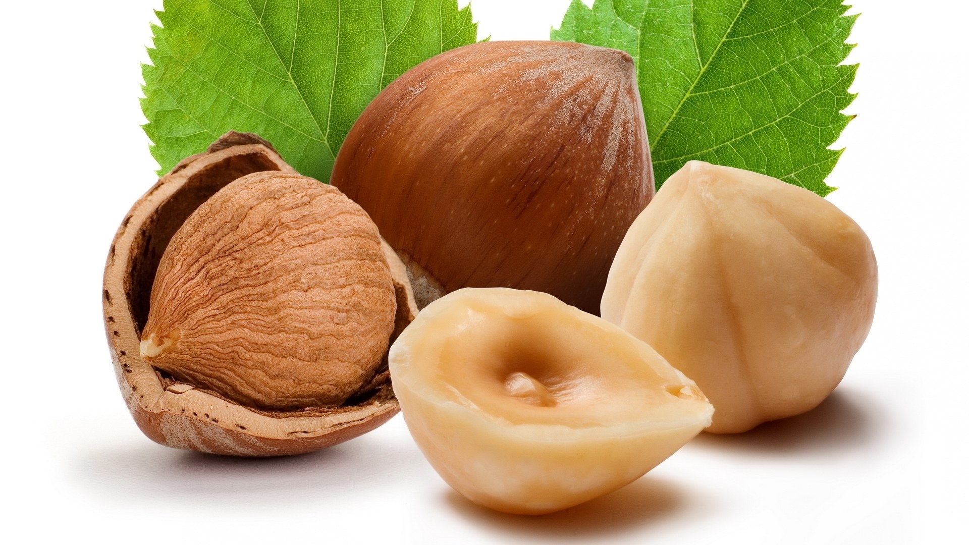 Hazelnuts with green leaves