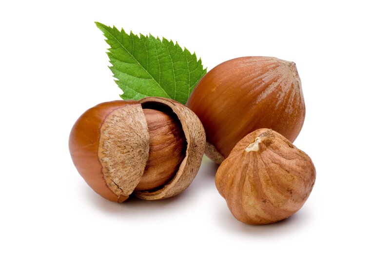 Hazelnuts with Leaf