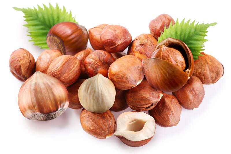 Hazelnuts with Leaves — Brown