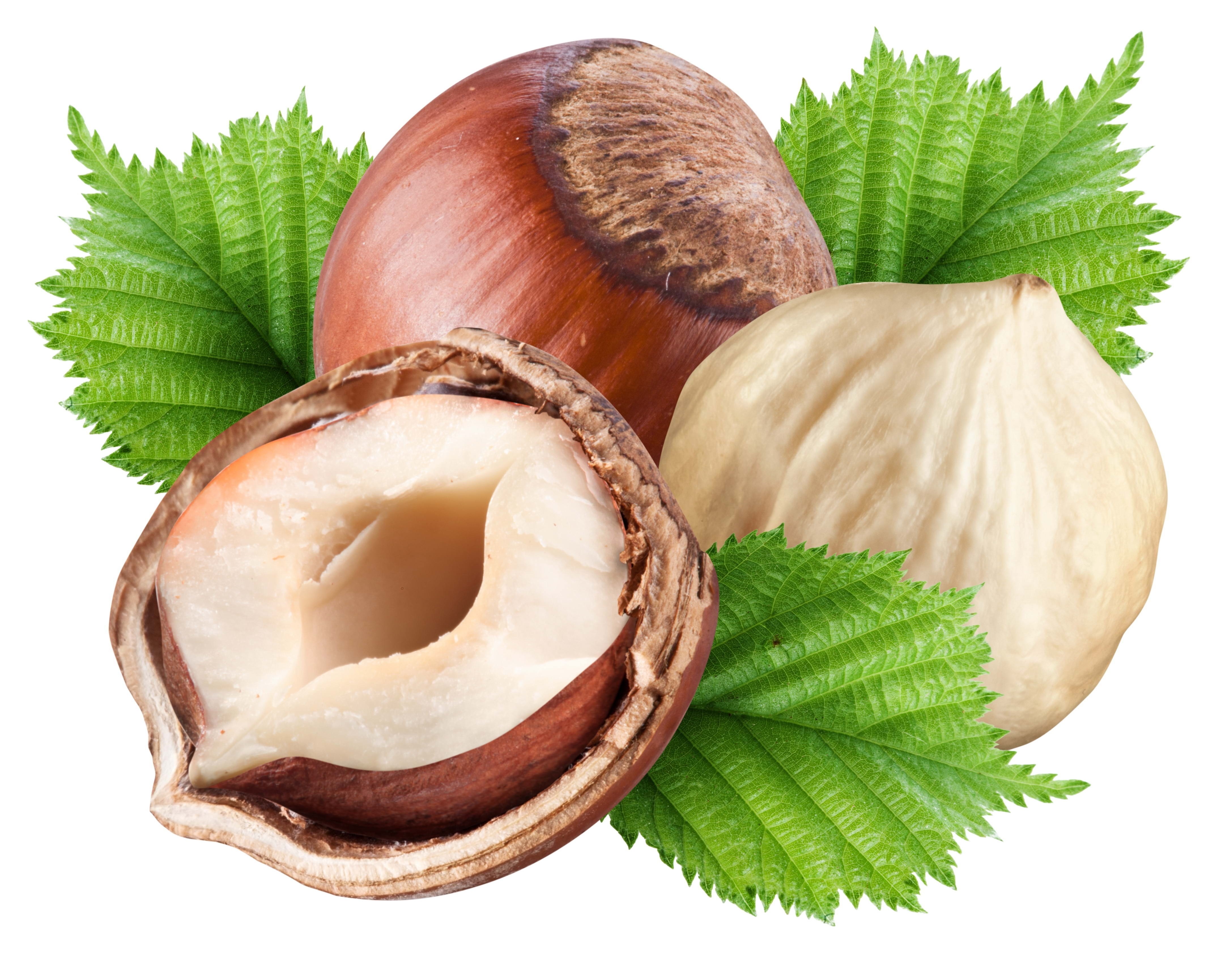 hazelnuts with leaves