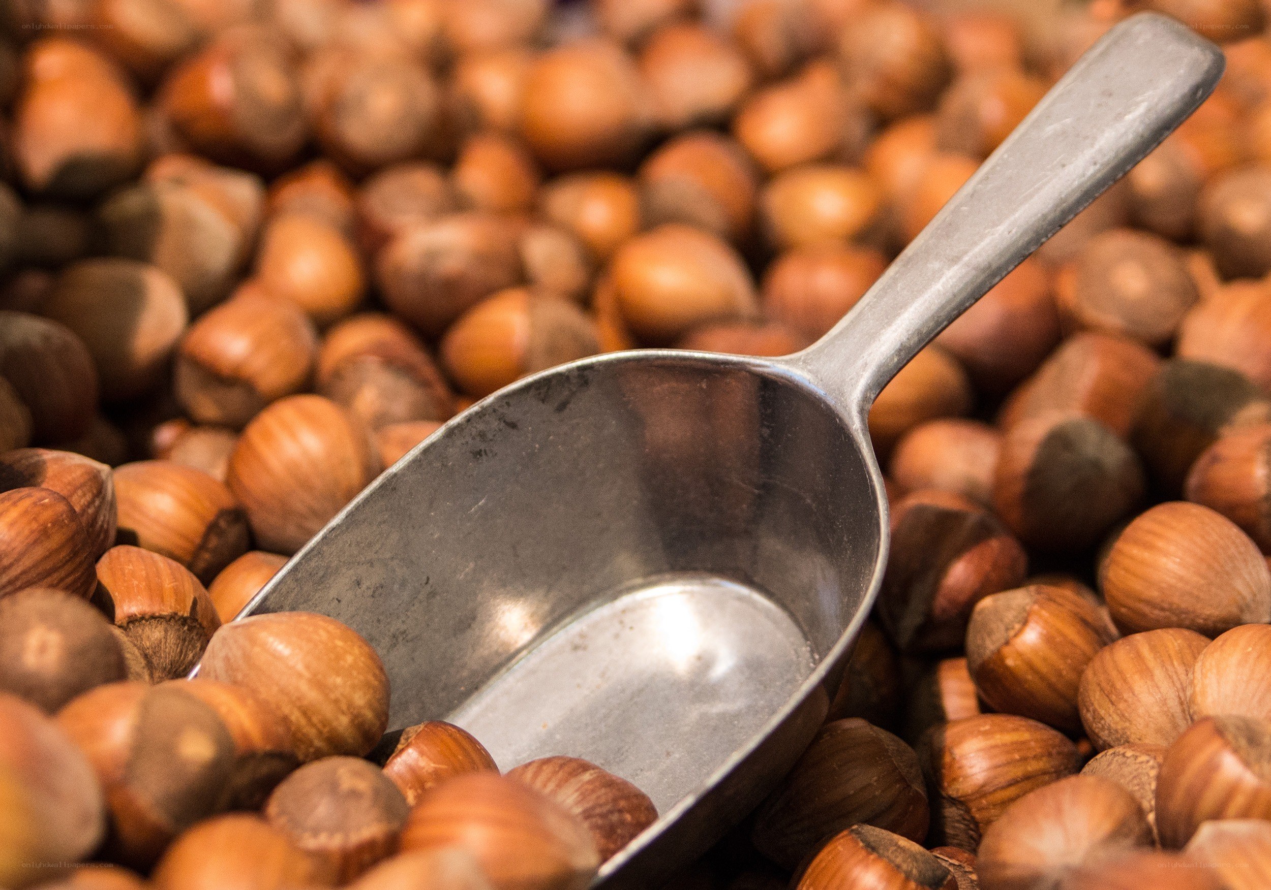 hazelnuts with metal scoop