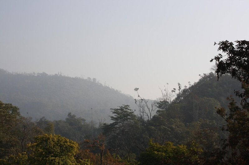 Hazy Forested Hills — Green