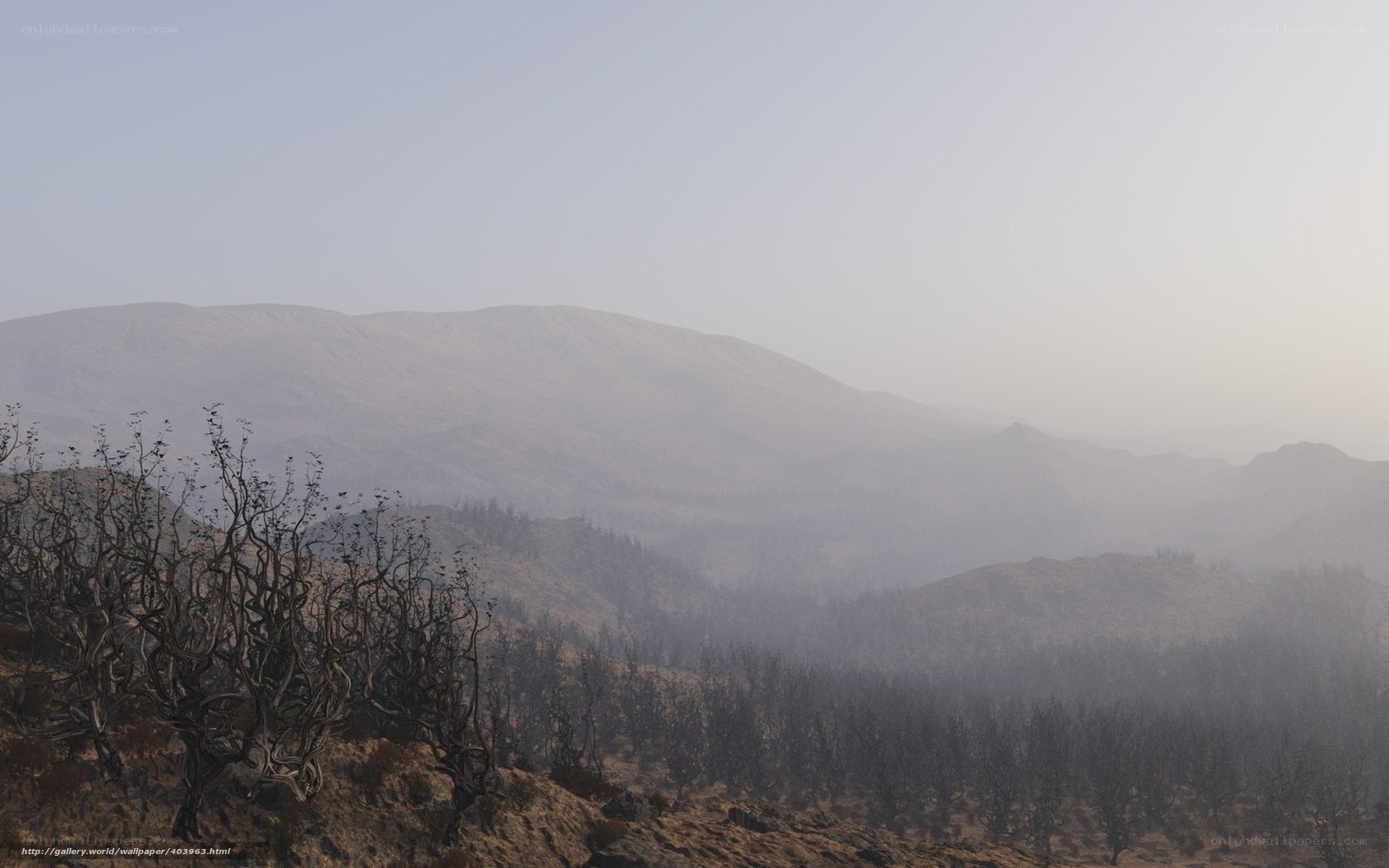 Hazy mountain landscape