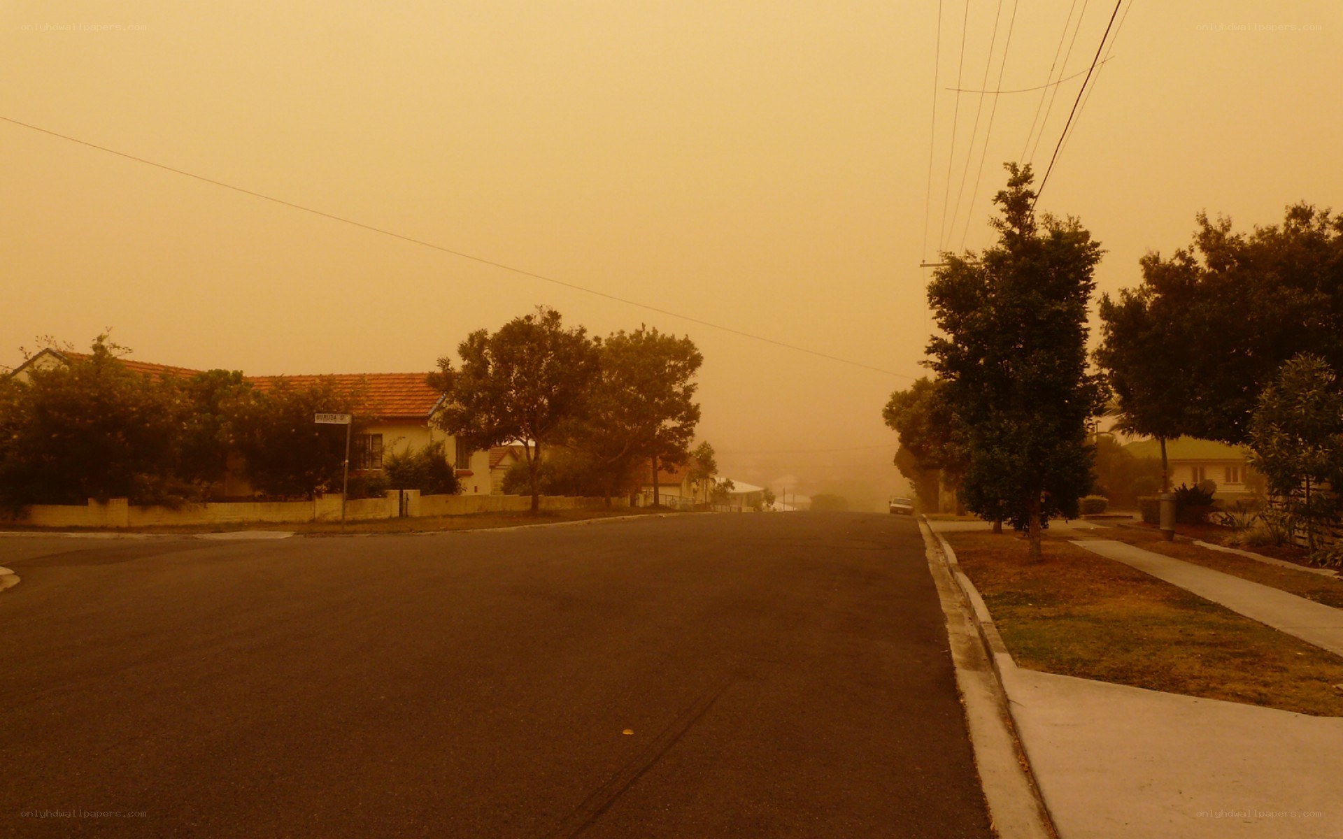 Hazy suburban street