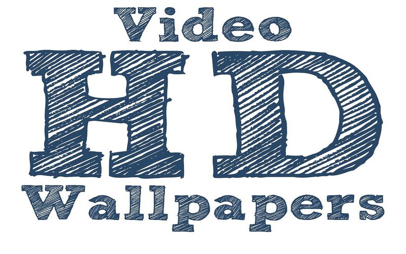 HD Video Wallpapers