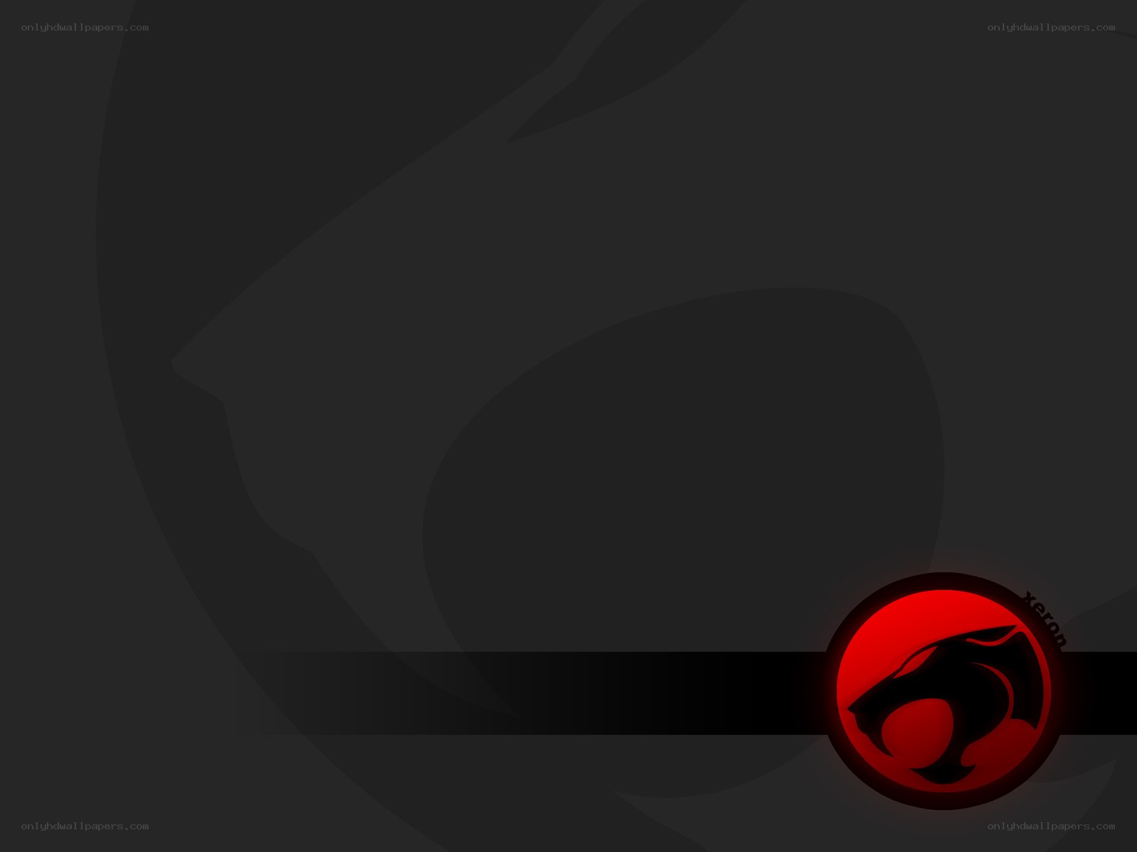 He-Man Lion Logo Background