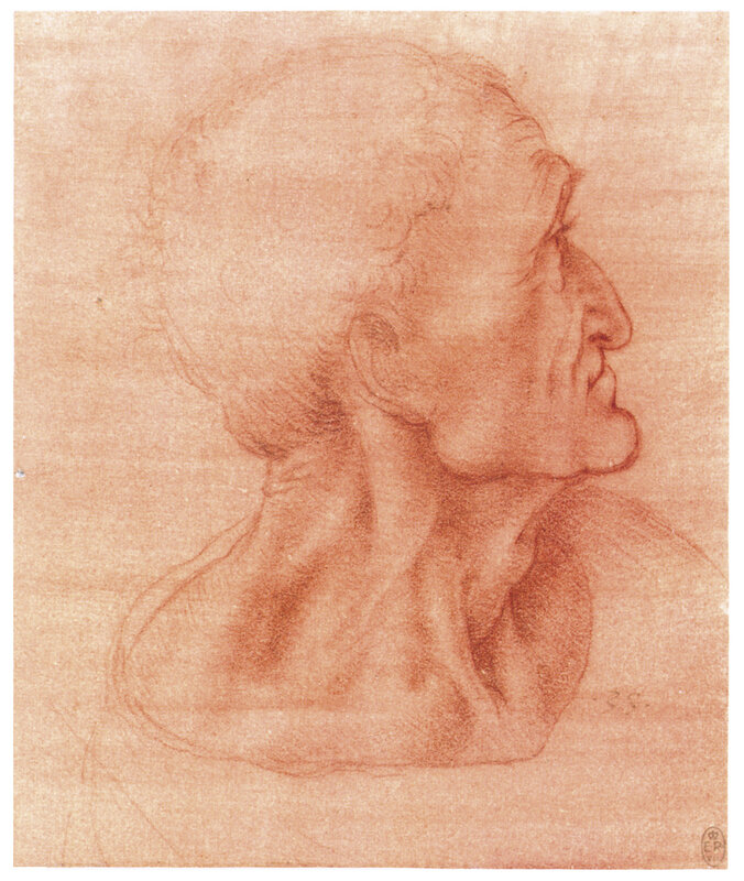 Head of an Old Man