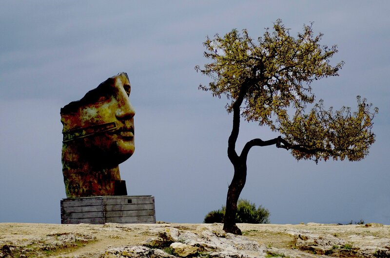 Head sculpture and lone tree