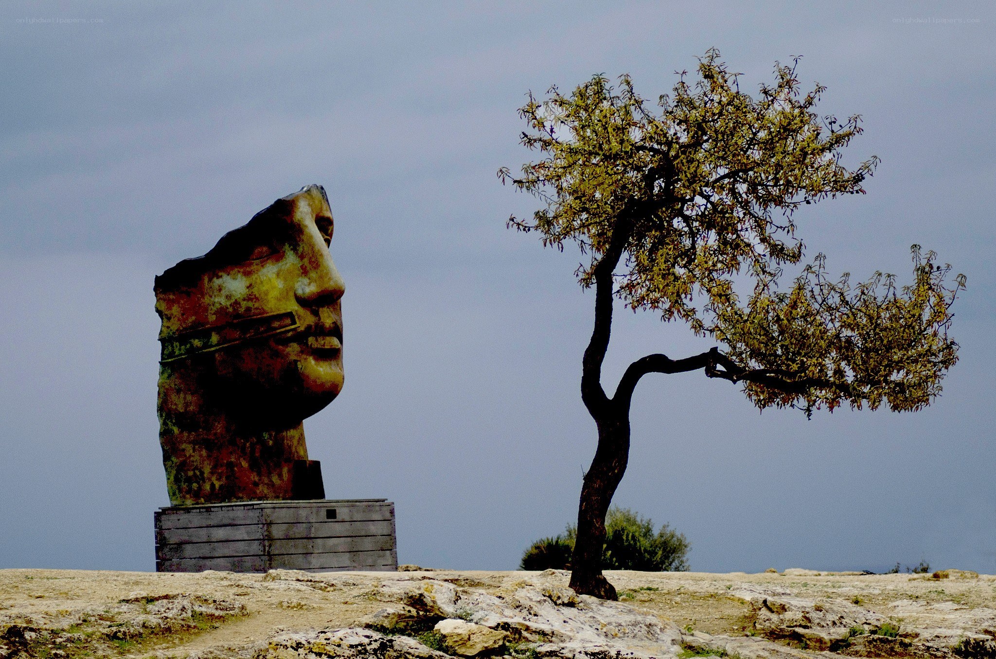 Head sculpture and lone tree