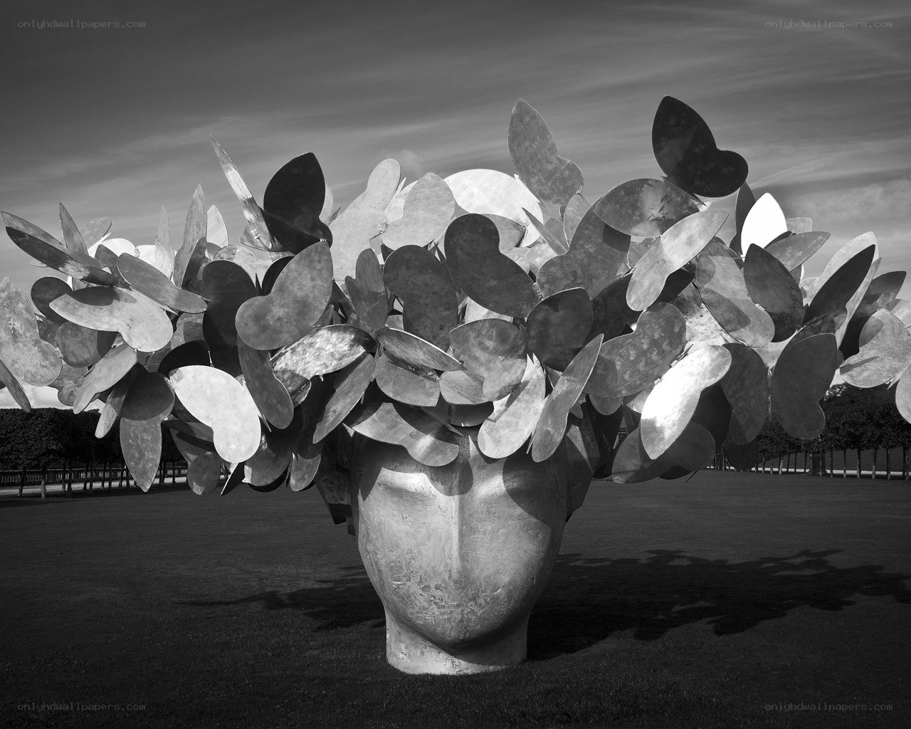 Head sculpture with butterfly wings