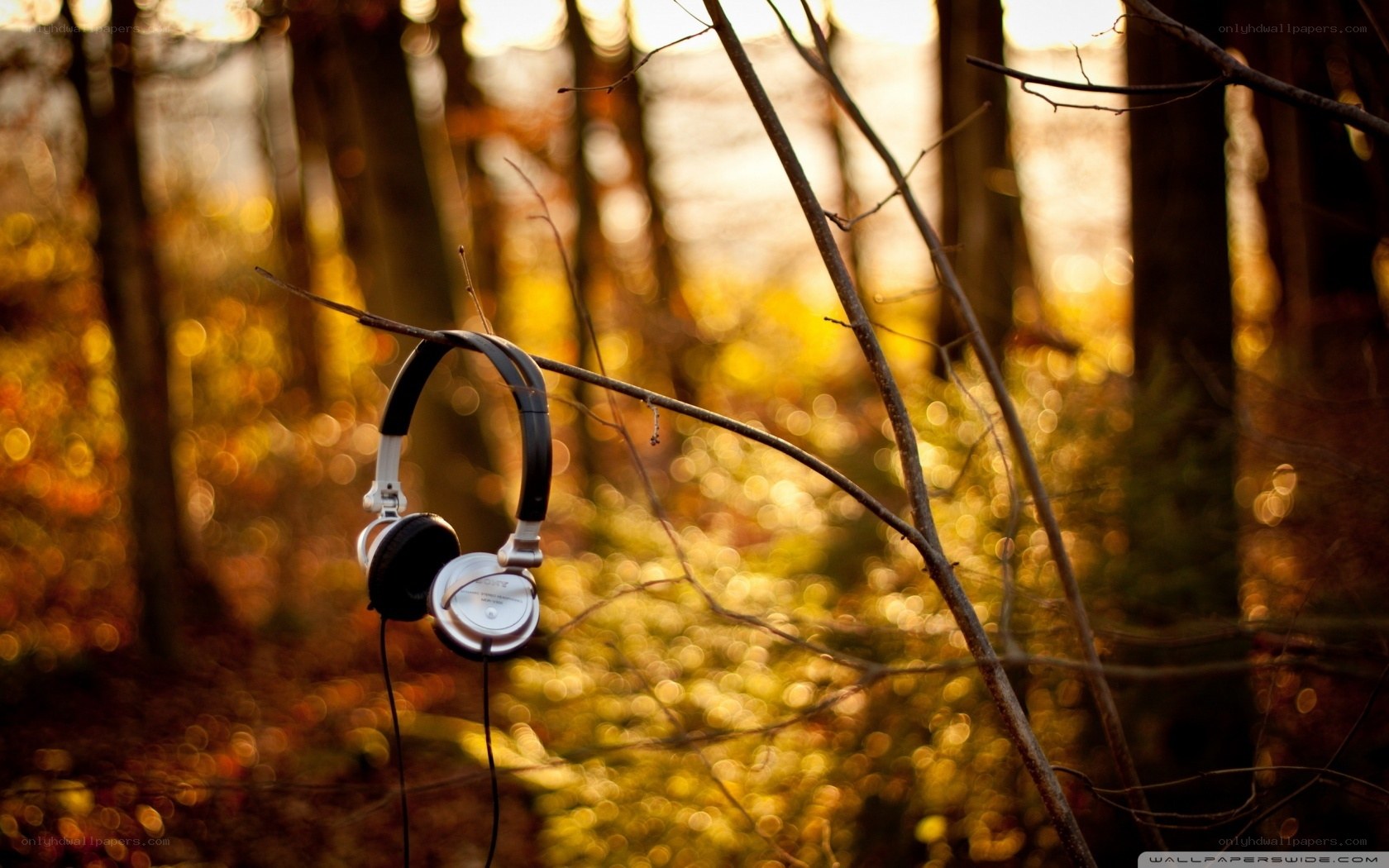 Headphones on a tree branch