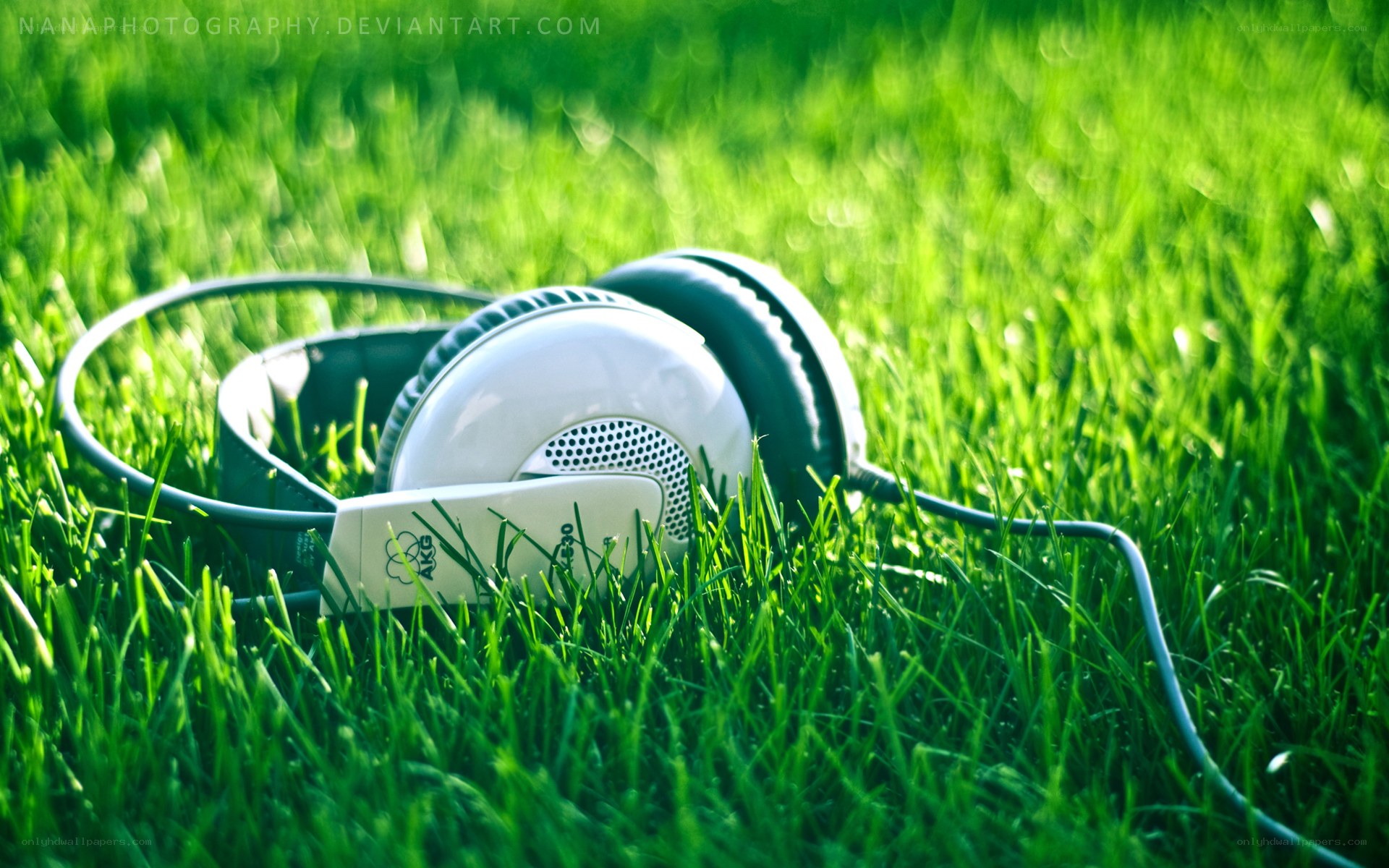 headphones on green grass