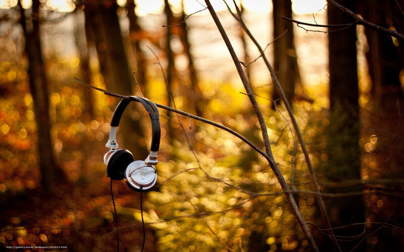 Headphones on Tree Branch — Gold