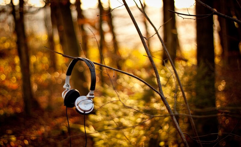 Headphones on Tree Branch