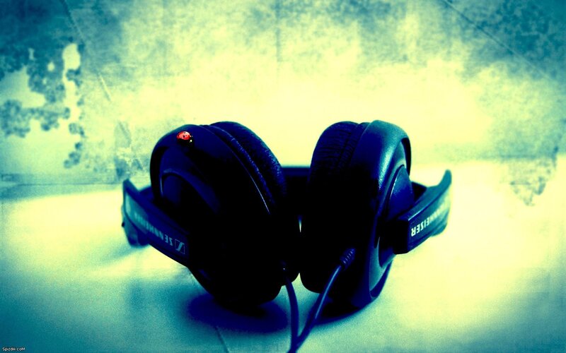 headphones with ladybug