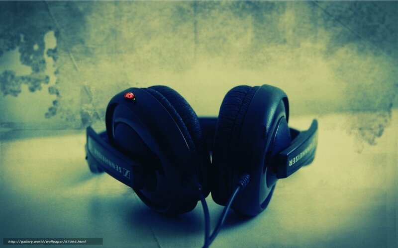 headphones with ladybug