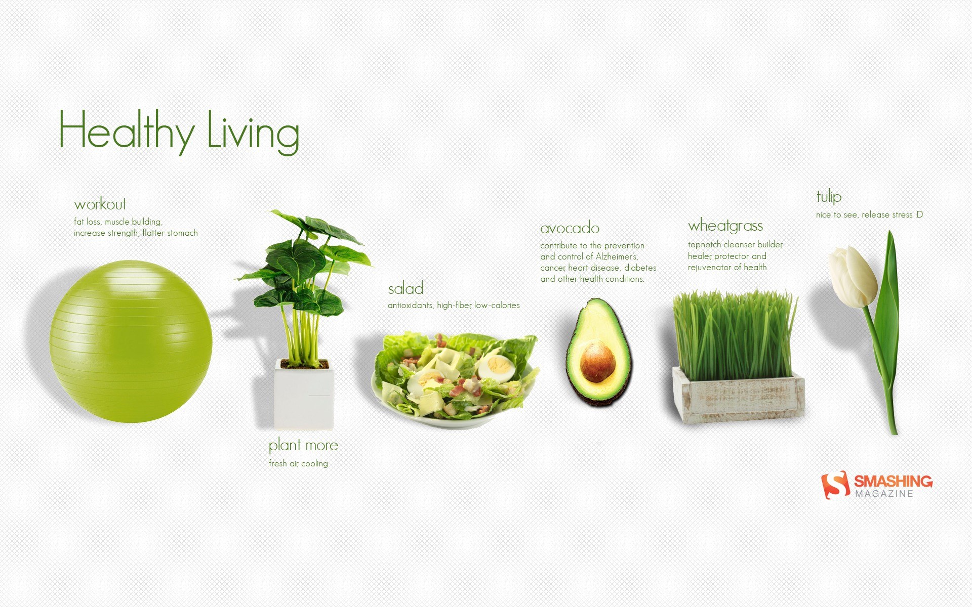Healthy Living Infographic