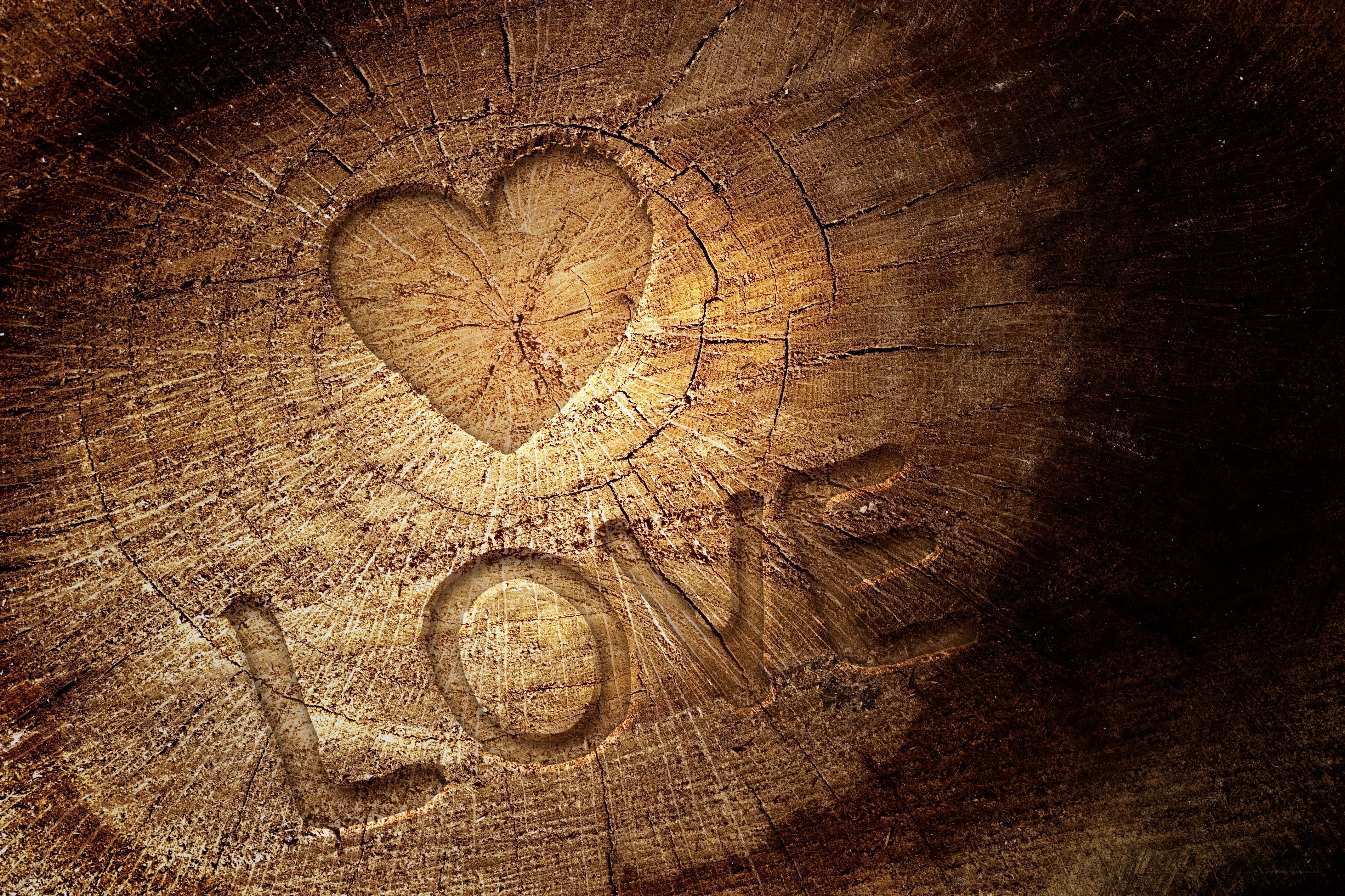 heart and love carved in wood