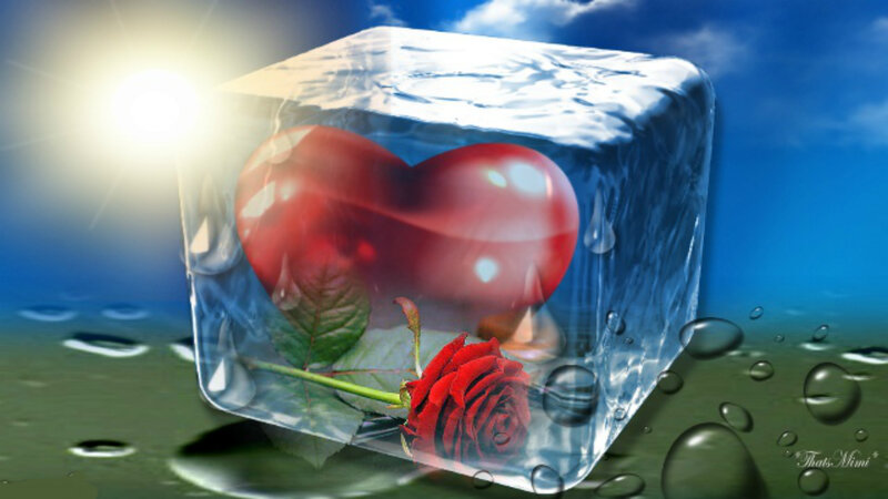 Heart and Rose in Ice