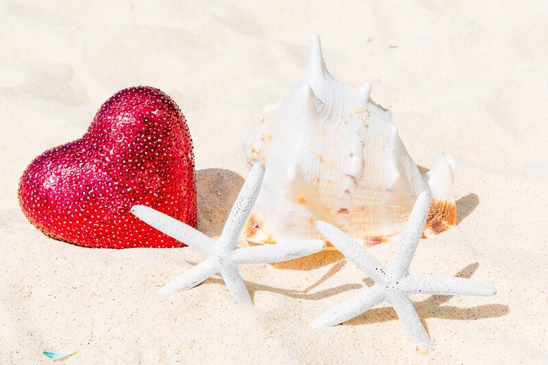 Heart and Seashells