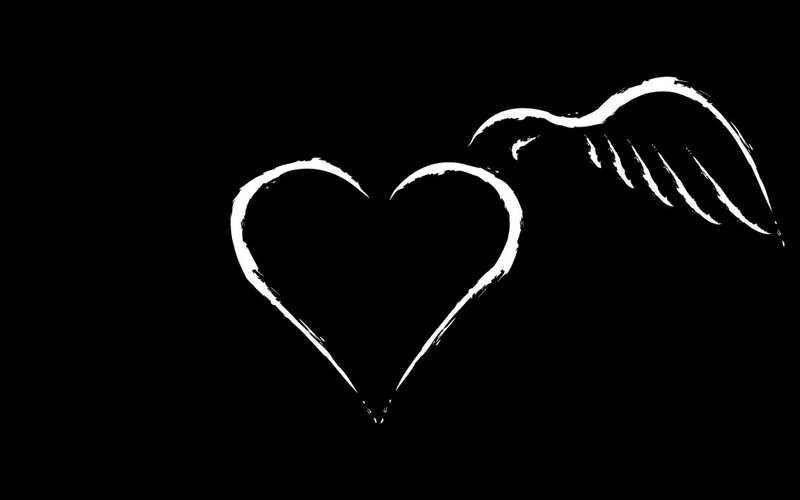 Heart and Wing Outline