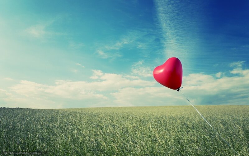 Heart balloon in a field