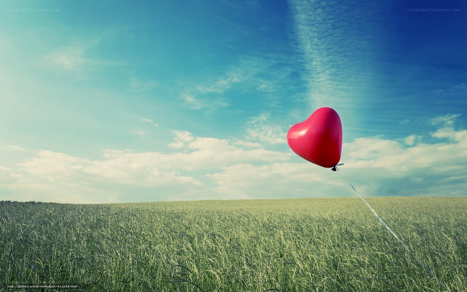 Heart balloon in a field