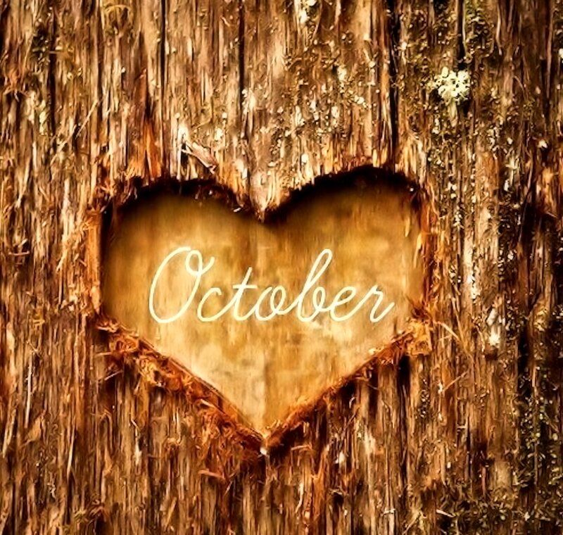 Heart Carved in Tree — Brown, Calm