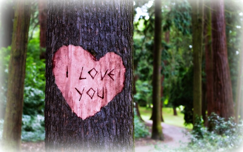 Heart Carved in Tree — Green