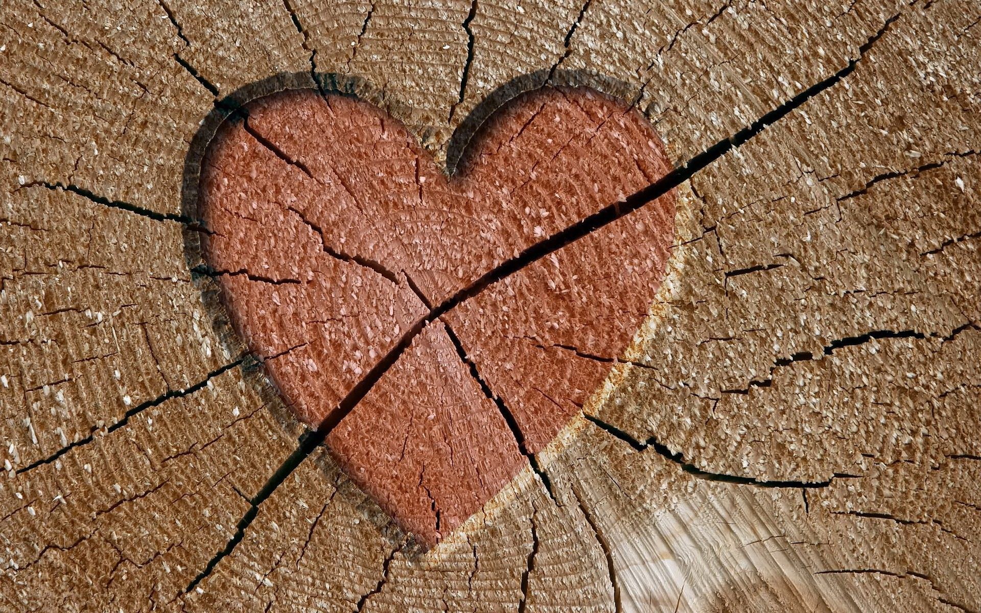 heart carved in tree stump