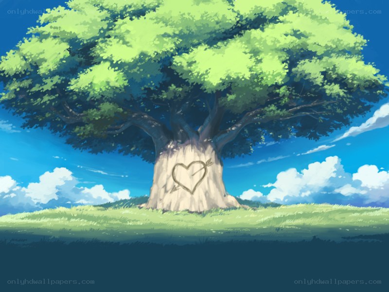 heart carved in tree