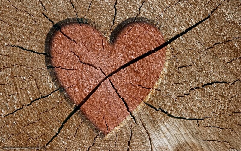 Heart Carved in Wood — Brown, Calm, Photograph