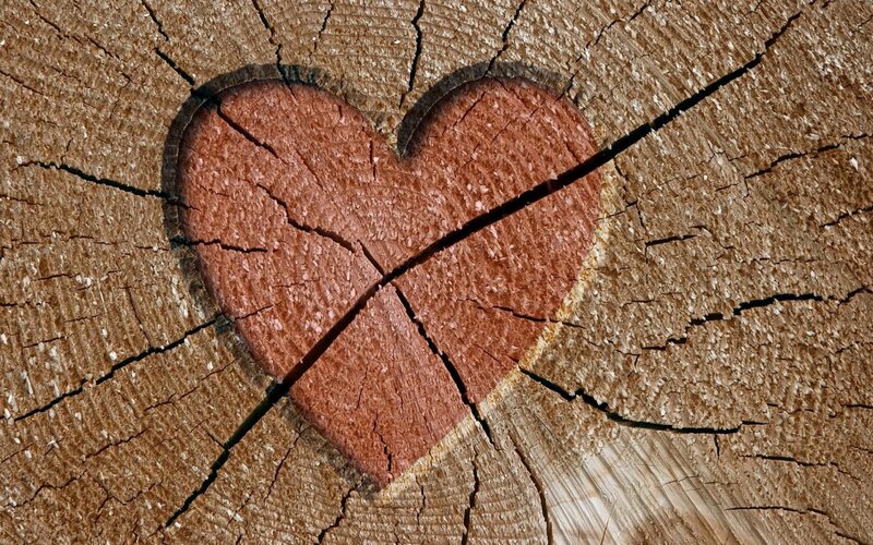Heart Carved in Wood — Brown, Calm
