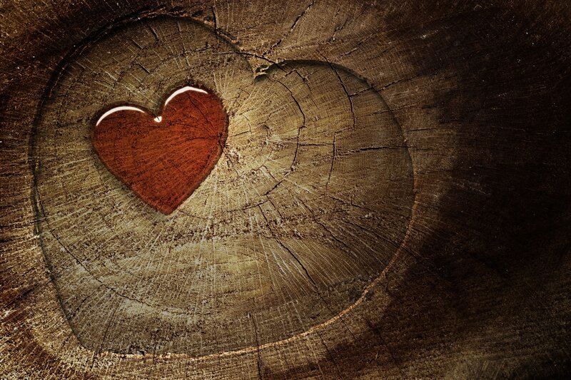 Heart Carved in Wood — Brown, Dramatic, Photograph