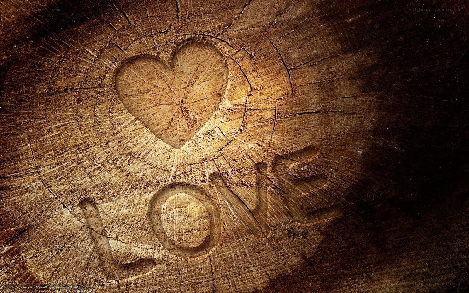 heart carved into tree trunk