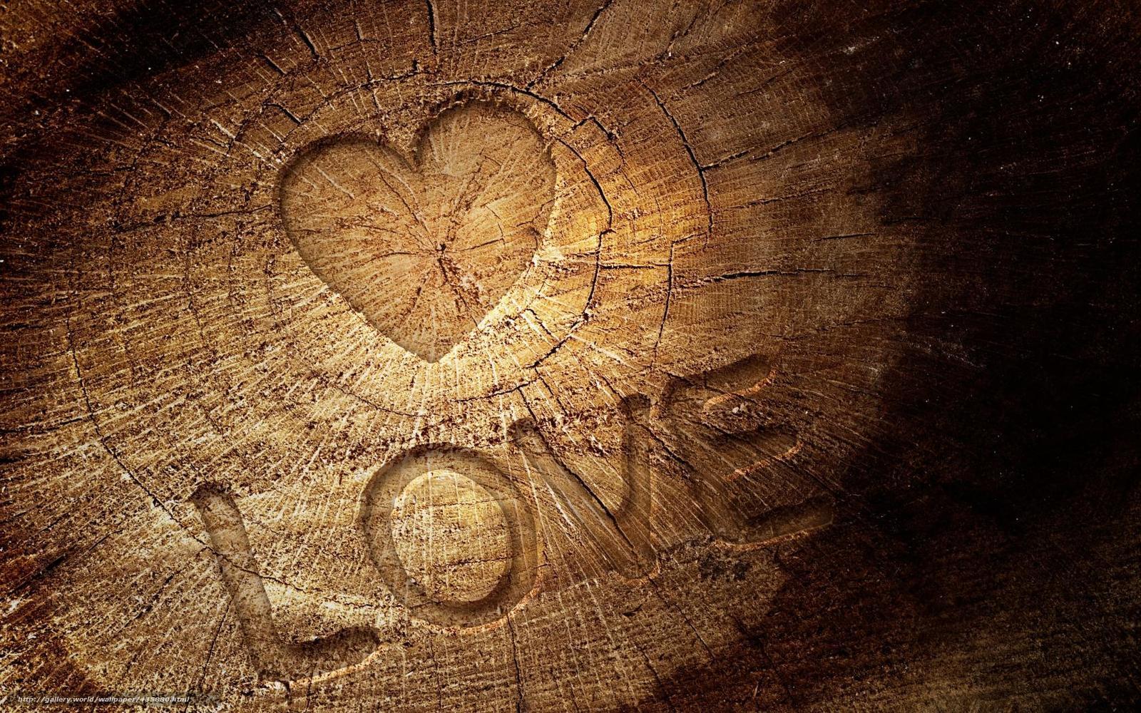 heart carved into tree trunk