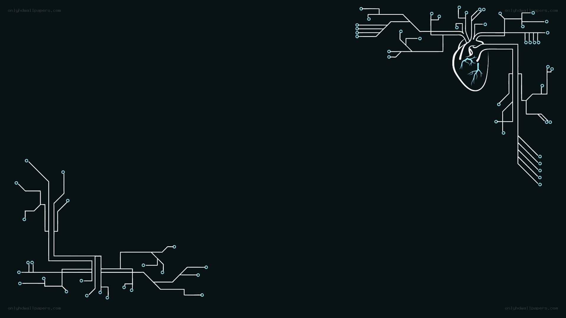 heart circuit design