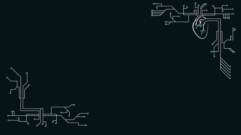 heart circuit design