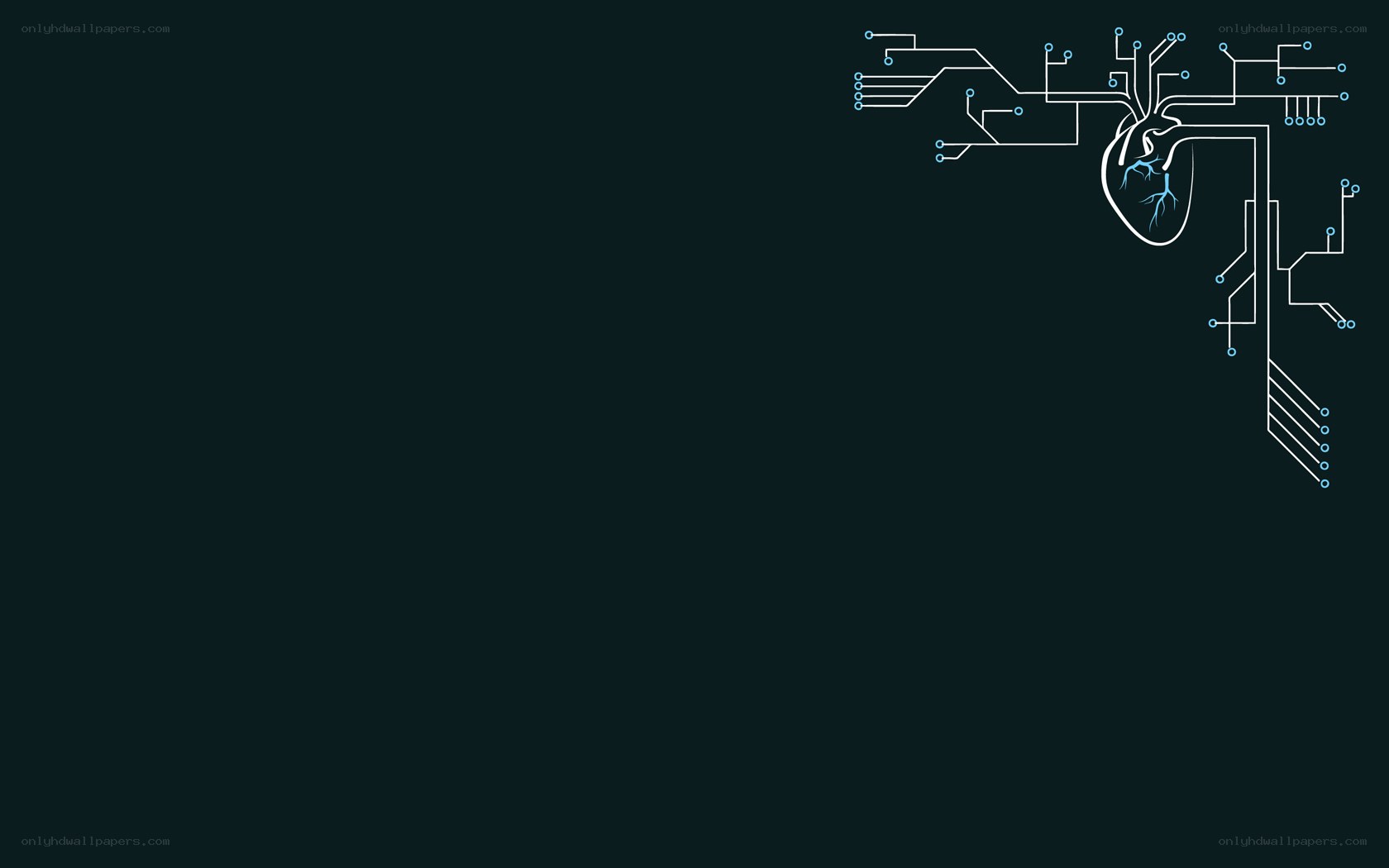 heart circuit design