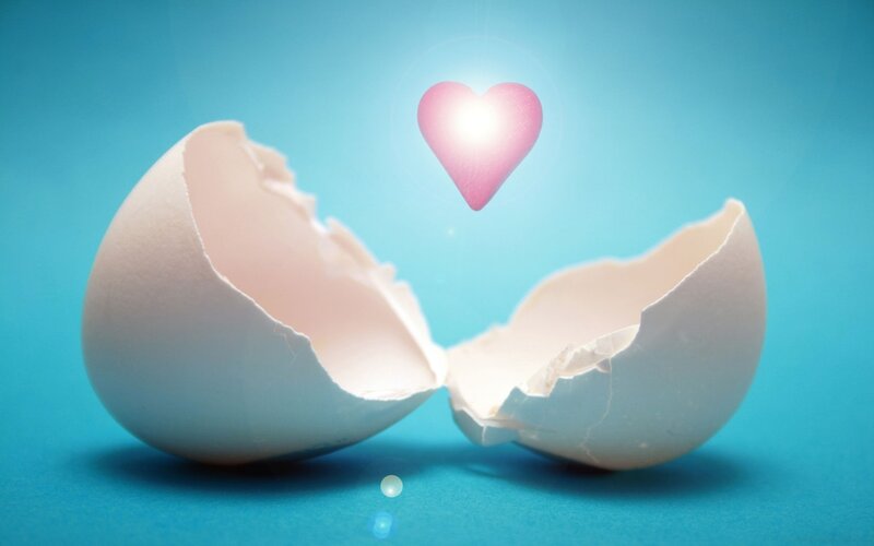 heart emerging from egg