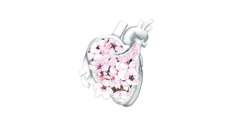 heart filled with cherry blossoms