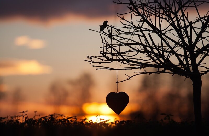 Heart Hanging from Tree