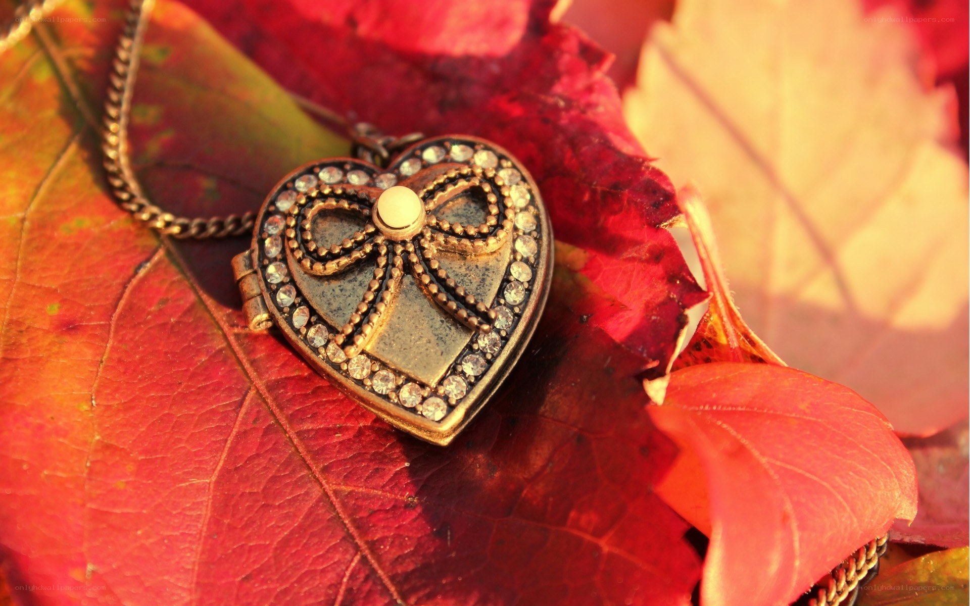 heart locket on autumn leaves
