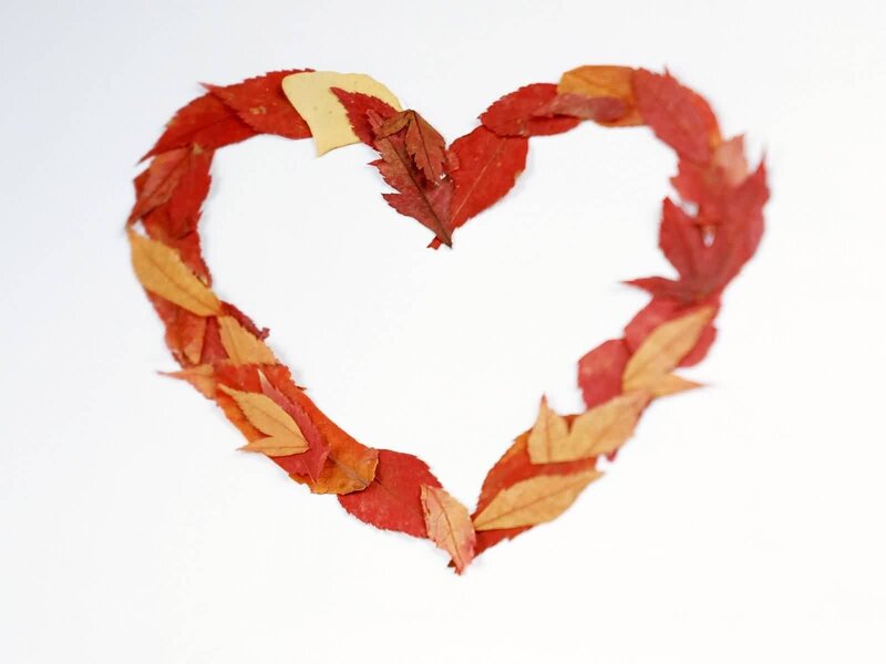 heart made of autumn leaves
