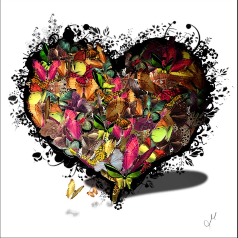 Heart Made of Butterflies