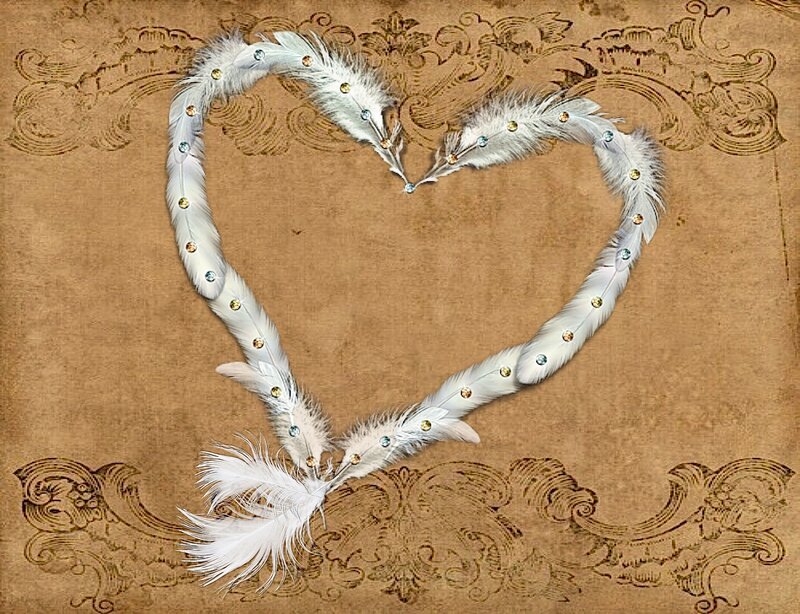 Heart Made of Feathers
