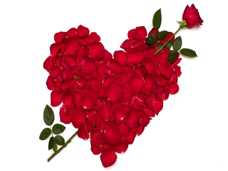 heart made of rose petals